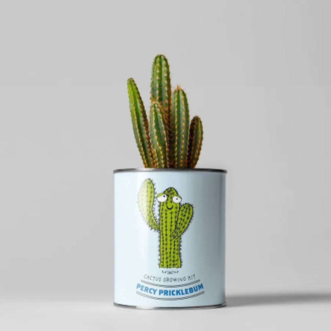 The Plant Gift Co. Percy Pricklebum - Grow Your Own Plant Kit