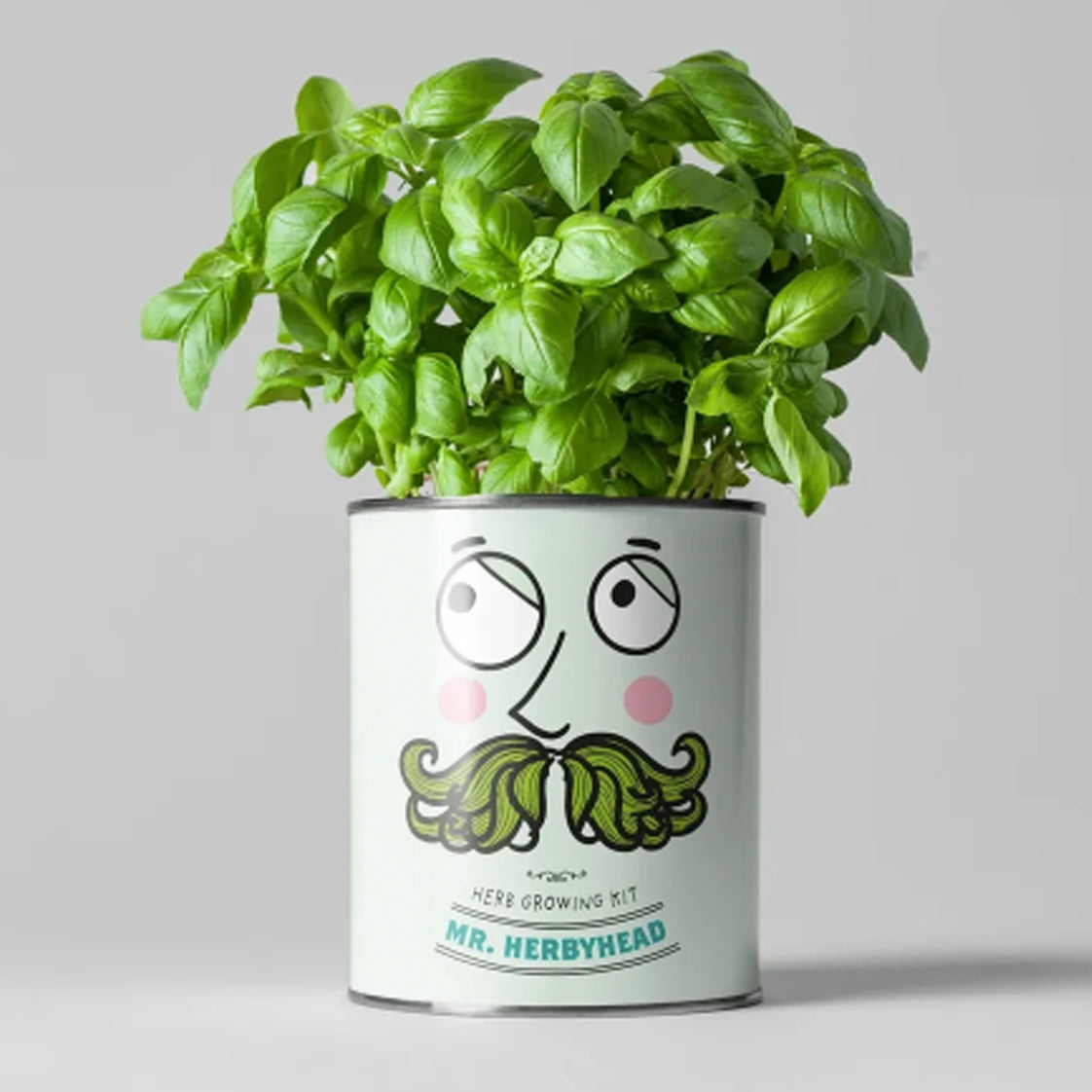 The Plant Gift Co. Mr Herby Head - Grow Your Own Plant Kit