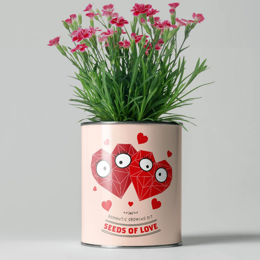 The Plant Gift Co. Seeds of Love - Grow Your Own Plant Kit